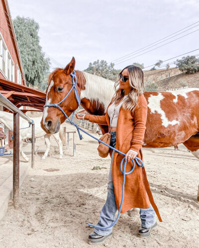 Hollywood horseback riding