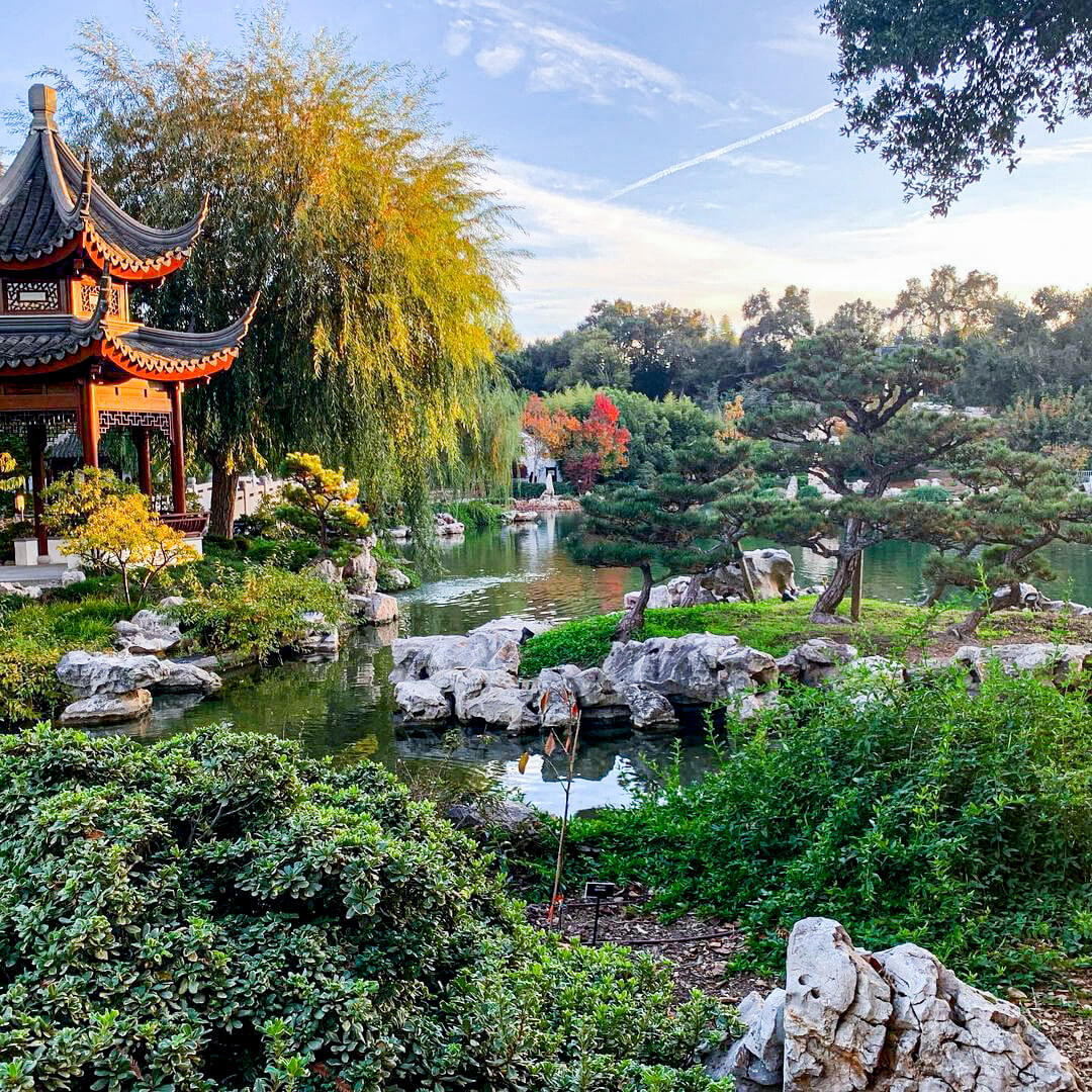 Huntington Library Chinese New Year 2024 - Jamima Catharine